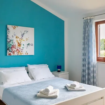 Greis With 4 Bedrooms And Pool In Buje Vila Momjan